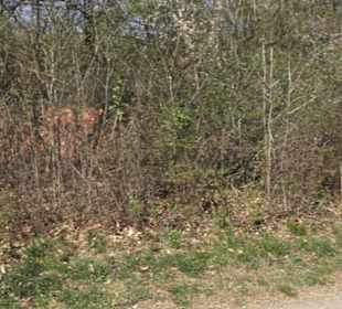 Sport- und Freizeitpark Markwasen