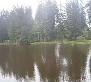 Kladská - rašeliniště