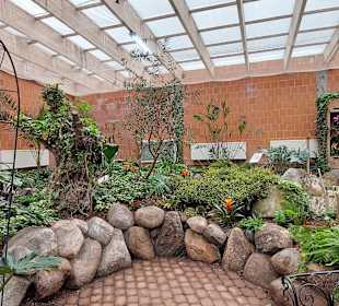 Schmetterlingsgarten