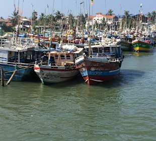 Hafen Negombo