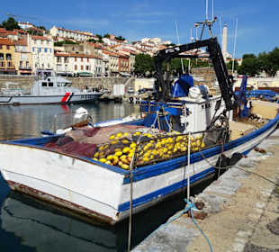 Impressionen aus dem Hafen von Port Vendres