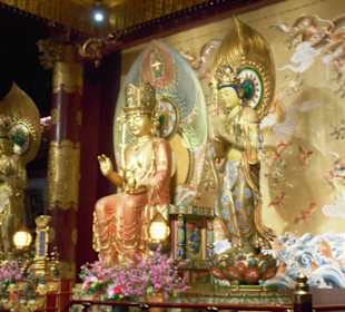 Buddha Zahn Relikt Tempel 