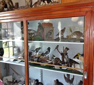 In der Dorfschule des Torf- und Siedlungsmuseums