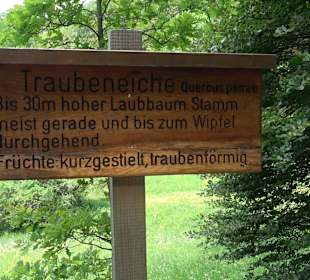 Waldlehrpfad in Tieringen