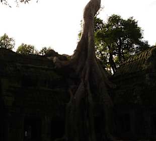 Angkor chramy