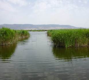 Ojos del Guadiana