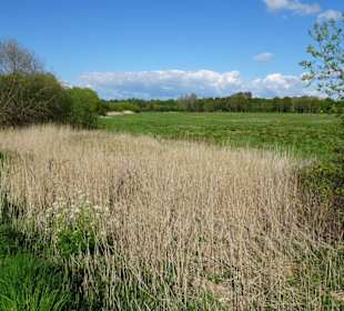 Eindrücke vom Rundweg um den Bederkesaer See 
