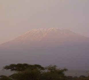 Kilimanjaro am Morgen
