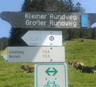 Wandern Nesselwängle