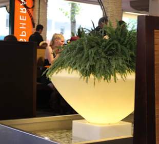 Ansprechende Einrichtung