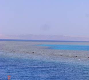 Delphintour- unterwegs