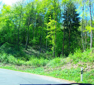 Burgenstraße der Fränkischen Schweiz