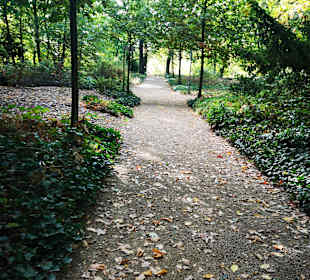 Kurpark Bad Düben