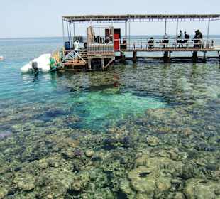 Taucherstegbereich-kein Zutritt für Schnorchler