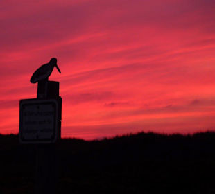 Wenn der Himmel brennt