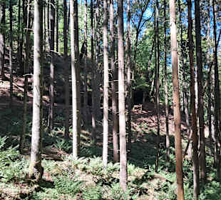 Kirkeler Felsenpfad