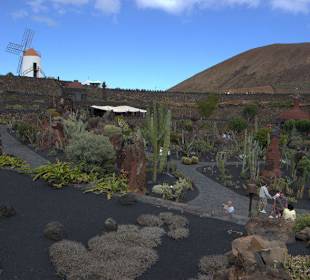 Jardin de Cactus