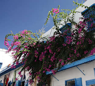 Sidi Bou Said