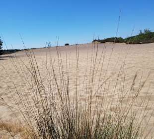 Eine tolle Landschaft