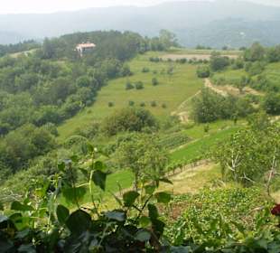Ausblick von der Terrasse