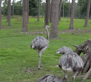 Naturwildpark Granat