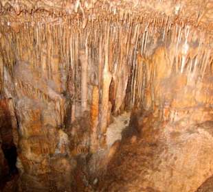 In der Drachenhöhle