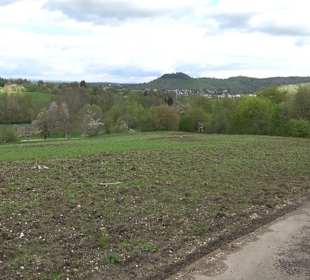 Naturerlebnisweg des NABU-Metzingen