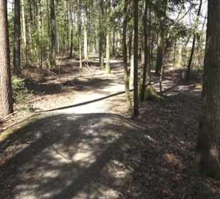Waldsportpfad im Wasenwald