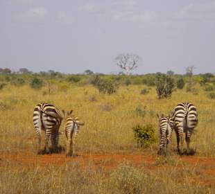 Auch von hinten schön
