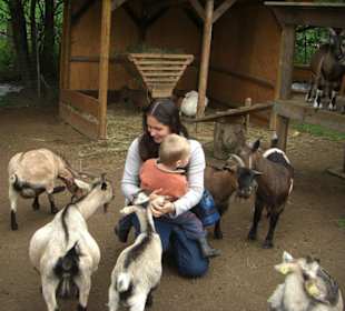 Streichelzoo im Vogelpark Schotten