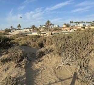 Dünen von Maspalomas