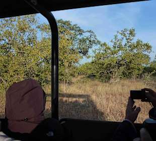 Krüger Nationalpark