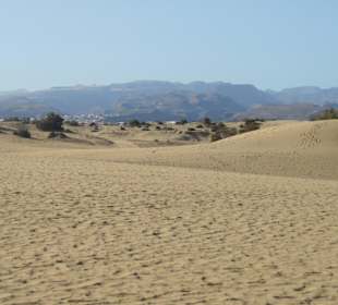 Dünen am Strand Maspalomas