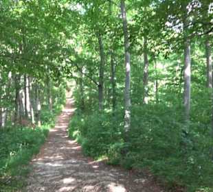 Premiumwanderweg "hochgelegen"