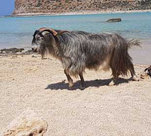 Balos Strand