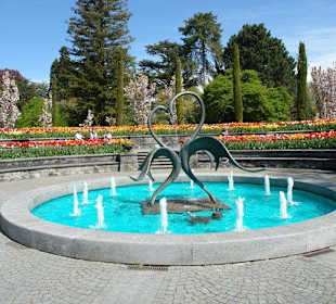 Осторов майнау