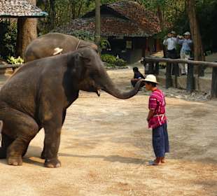 Hallo gib mir deinen Hut