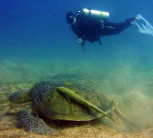 Zu Besuch bei Schildi 