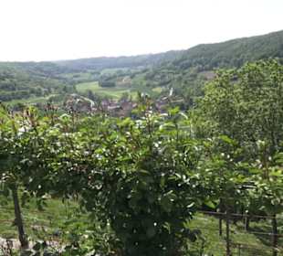 Schlosscafé im Rosengarten