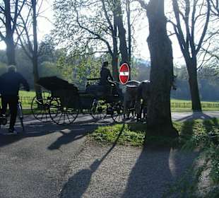 Kutsche in der Allee