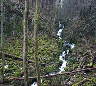 Tief schneidet der Bach in die Schlacke