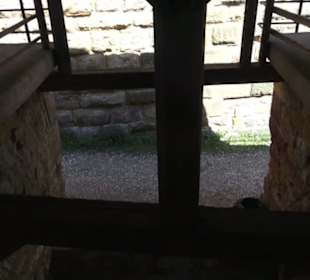 Burgruine Hohenrechberg