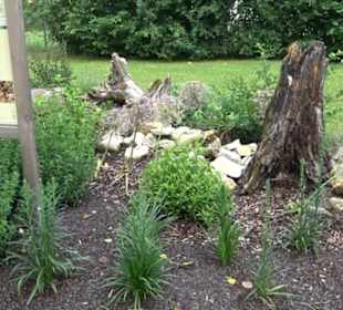 Blühendes Neresheim 2021