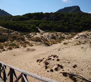 Wandern Cala Mesquida