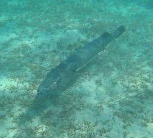 Alle Bilder an einem Tag!