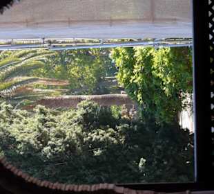 Una finestra sul giardino