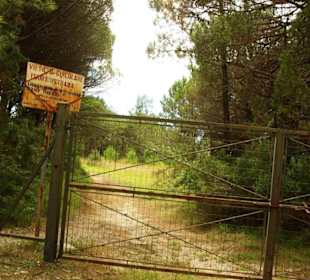 Das Naturreservat von Bibione