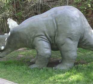 Gartenschau