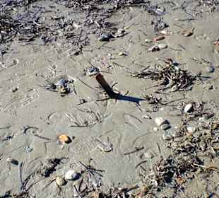 Unfallgefahr am Strand