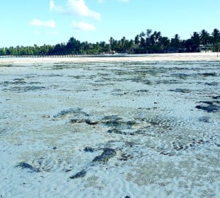 Pongwe Strand